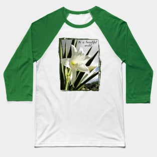 beautiful world with white amaryllis into vintage frame Baseball T-Shirt